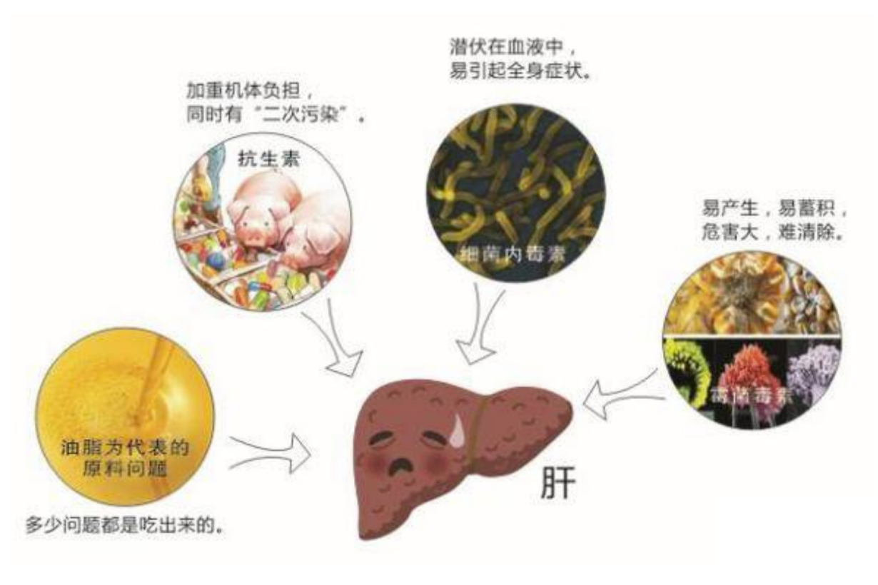 深圳瑞佳達電池重物沖擊試驗機：為電池安全構筑最堅固的沖擊防線